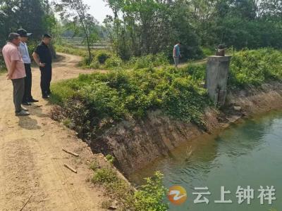 长寿镇持续发力抗旱保收 科学调度护航农业生产