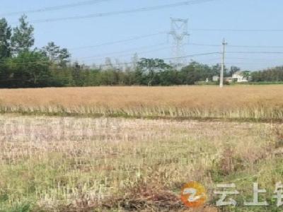 石牌镇桂竹村织密秸秆禁烧“安全网” 守护蓝天