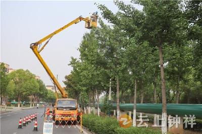钟祥：路灯焕新 回家路更暖心