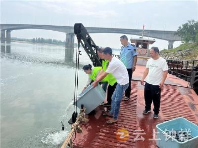 钟祥市开展“全国放鱼日”主题系列活动 助力濒危鱼类保护