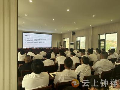洋梓镇举办公务摄影技巧分享培训会 赋能宣传队伍 提升政务形象