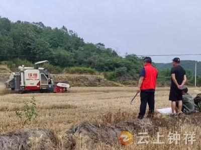 张集镇长河村网格站：积分制助力“三夏”，种满管好保丰收