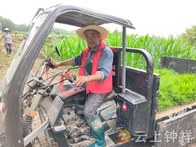 张集镇蔡家岭村：网格员助留守老人插秧无忧