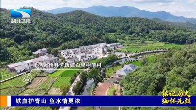 铭记历史 缅怀先烈 | 铁血护青山 鱼水情更浓