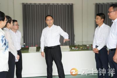 张勇调研文集镇项目建设、产业发展和“清洁家园”行动等工作