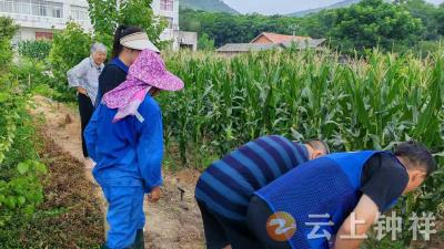 冷水镇樊庙村网格员“硬核”守护村民“粮袋子”