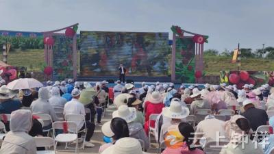 钟爱人才·“梅”好一夏 青年人才相聚梅园共赴甜蜜之约