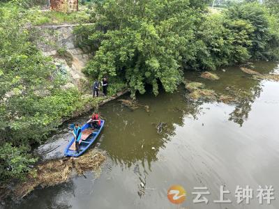 九里回族乡官庭畈村：河湖长牵头志愿行动 守护九曲河生态颜值