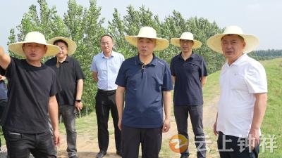 白海峰检查官庄堤防汛抗旱工作
