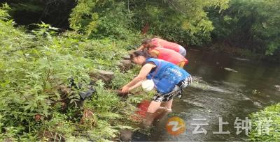 张集镇蔡家岭村：排查汛期安全隐患 筑牢防汛“安全网”