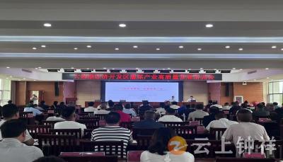 大柴湖经济开发区谋定蔬菜产业高质量发展新路径