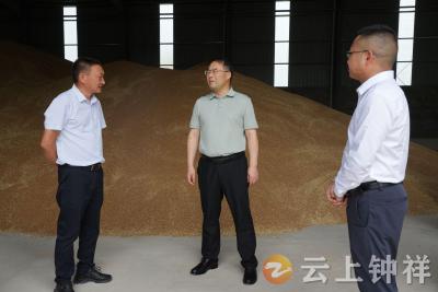 张勇在丰乐镇开展专题调研
