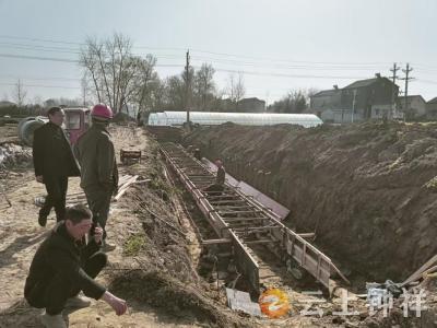 文集镇马桥村：高标准农田建设跑出“加速度”