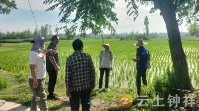 四十年土地纠纷终破冰！冷水镇鸭湖村网格员巧解“地结”化干戈