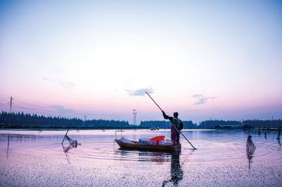 潜龙在渊 欲兴江汉