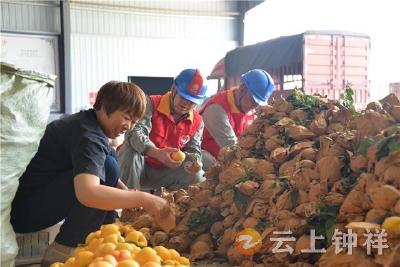 钟祥：护航鲜桃产销季 电力保障助振兴