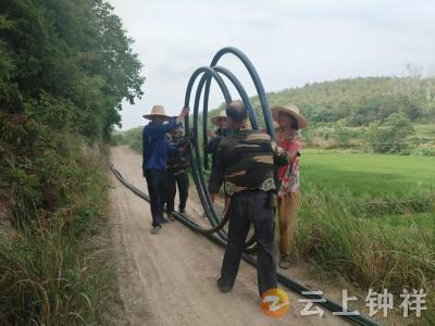 张集镇黑王寨村：网格员携手村民抗旱保丰收