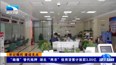 牢记嘱托 建成支点 | “画像”替代抵押 湖北“两农”信用贷累计放款3.85亿