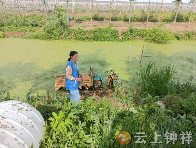 网格员一线“哨”响 多方驰援解三轮车侧翻困局