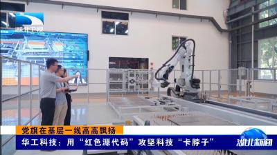 党旗在基层一线高高飘扬丨华工科技：用“红色源代码”攻坚科技“卡脖子” 