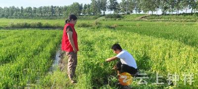 智能平台化解水纠纷 数据赋能守护邻里情