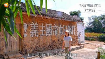 湖北钟祥：梓木千年，红韵长传
