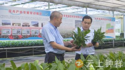 钟祥农商银行：6000万元普惠小微贷款  助力花卉龙头开辟新赛道