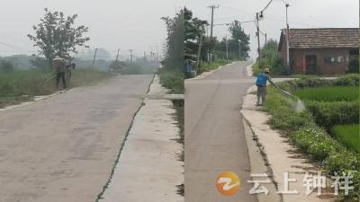 石牌镇石巷村清除路障 路畅景优暖民心