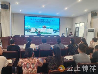 聚焦“三资”监管数字化 洋梓镇开展平台实操培训