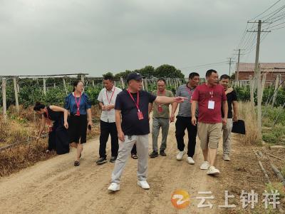 钟祥丰乐镇人大代表调研：收获六条建议，助力防溺水与农业发展双提升