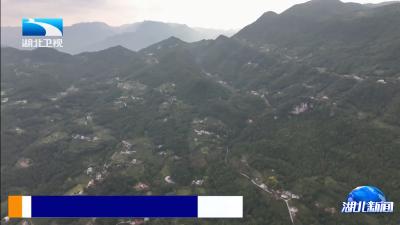 锲而不舍落实中央八项规定精神 | 乡村客运司机邓兰舟：云路初心 