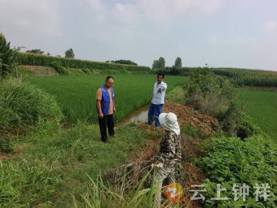 胡集镇向岗村：田间纠纷及时调 “格格”助力化矛盾