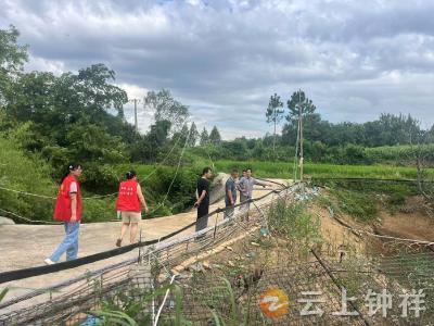 钟祥市东桥镇马岭村：党建抗旱保苗筑防线 全力以赴促丰收