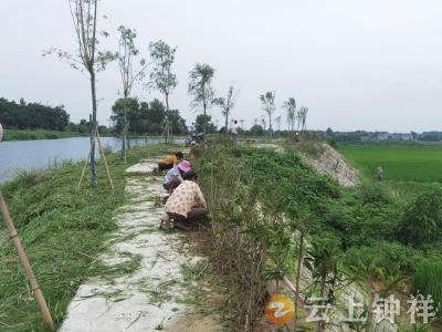 小积分撬动大治理！冷水镇松柏村