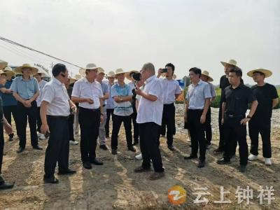 全省供销系统农业社会化服务培训在钟祥举办