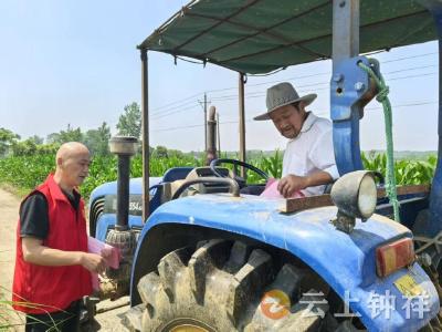 4万余亩玉米丰收！洋梓镇：“三管齐下”织密农机服务网