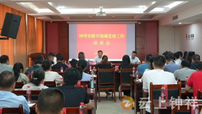 钟祥市召开新兴领域党建工作座谈会
