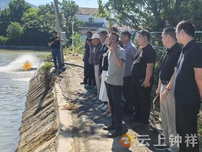 东桥镇开展产业观摩拉练 助力薄弱村年底销号清零