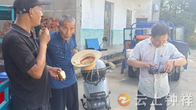 石牌镇伍冲村：独居老人植保遇困 网格助力解民忧
