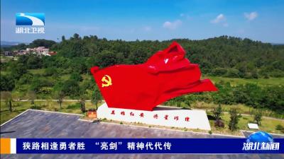 铭记历史 缅怀先烈 | 狭路相逢勇者胜  “亮剑”精神代代传