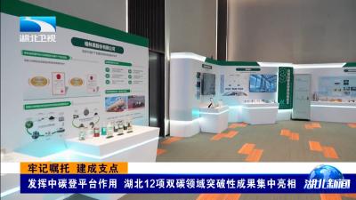 牢记嘱托 建成支点丨发挥中碳登平台作用 湖北12项双碳领域突破性成果集中亮相 