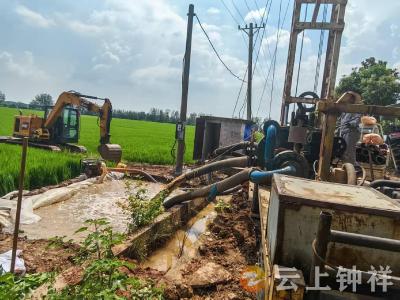 丰乐镇多措并举力守“米袋子”安全