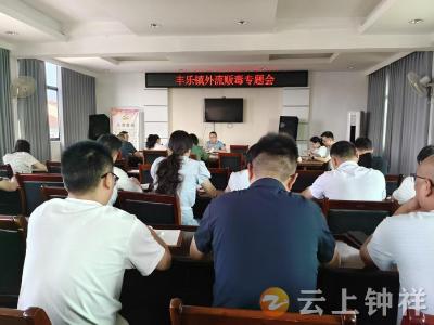 钟祥市丰乐镇重拳出击 织密外流贩毒