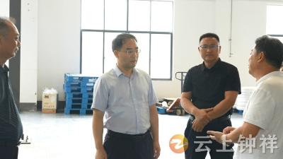 张勇调研开发区在建项目推进和企业生产经营情况