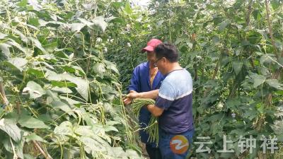 从菜园到车间，荆沙食品精深加工“链”就富民强村新图景