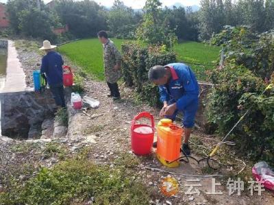 张集镇月亮门村：网格积分制助力 通组公路焕新颜
