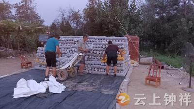 张集镇万金淌村：“菇”足干劲铺就致富路