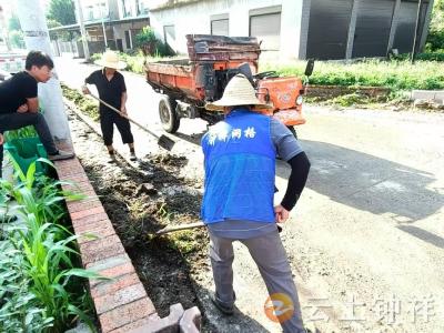 文集镇胡港村：网格力量赋能环境整治 村庄面貌焕新颜
