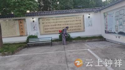 东桥镇：环卫工人美化花坛获积分奖励带动共建氛围