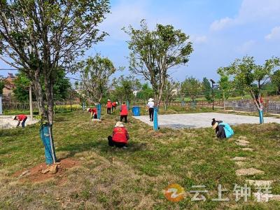 张集镇社工站：呵护一片草 共筑绿色梦